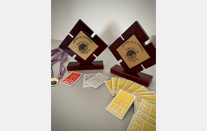 Les trophées et les blasons (lames et armes)