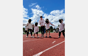 Journée du Sport et de l'olympisme (Familles) - Ville de Tassin 